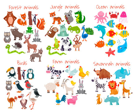 Big set of cute cartoon animals. Vector illustration.