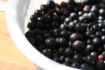 Lots of black currant berries in a white basket