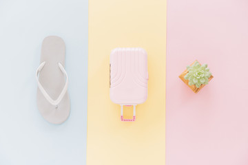 Flip flop; miniature travel bag and cactus plant on different type of background