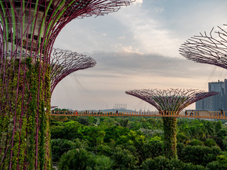 Gardens by the Bay Skyway, Singapore