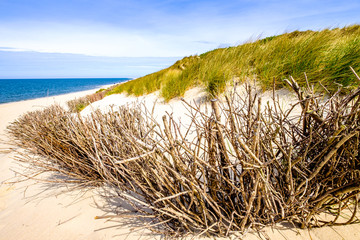 sand dune