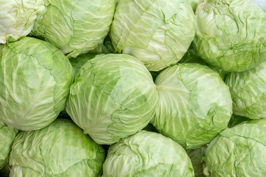 texture of ripe cabbage close-up, food background of Velkov cabbage