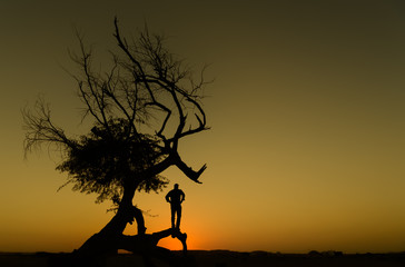 Silhouette of a tree and an unidentified man in a desert land during sunset