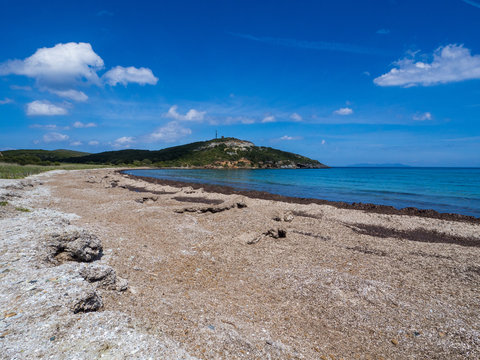 Beach of Sea Grass
