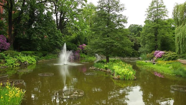 Beautiful panorama of flowers, trees and bushes in botanical garden in Wroclaw, Poland. The fountain throws water out of pond upwards. Purple, yellow, green, white colorful colors of a wonderful park