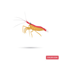 Shrimp doctor color flat icon for web and mobile design
