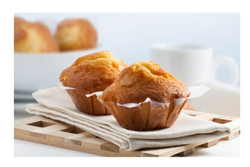 Magdalenas. Muffin