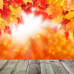 Naklejka na ściany i meble Bright autumn background. Red fall maple leaves and abstract bok