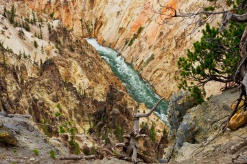 Wilde Flusslandschaft im Yellowstone Nationalpark