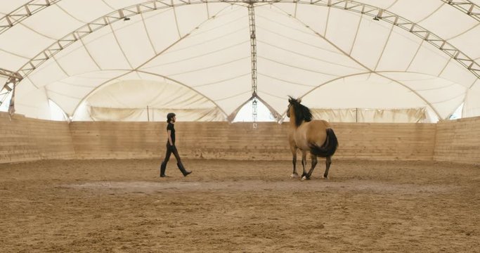 Jockey female standing in front of rearing horse. Shot on RED Helium. 4K UHD RAW graded footage 