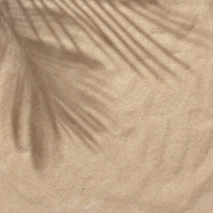 Summer beach day scene with tropical palms shadow on sand background. Minimal sunlight tropical flat lay arrangement.