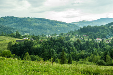 Naklejka na ściany i meble Carpathian summer landscape. Green forest among the mountains, mist floats above it.