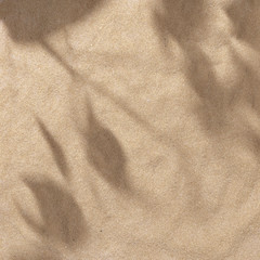 Obraz na płótnie Canvas Summer beach day scene with tropical palms shadow on sand background. Minimal sunlight tropical flat lay arrangement.