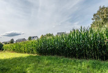 Obraz premium Neubaugebiet am Ortsrand