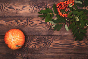 Top view of mini-pumpkins and autumn rowan on a wooden background. Happy Thanksgiving and Harvest Day