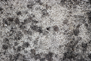 Rough grunge vintage background distressed weathered dirty old texture