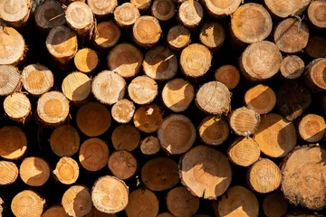 Möbelaufkleber pile of wood © Tatiana Svetlichnaya