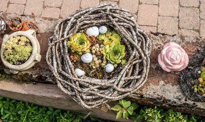 Dekoratives mit Hauswurzen im Garten