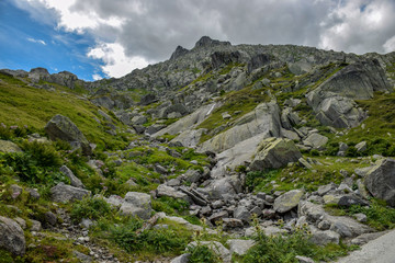 Fototapeta na wymiar mountain landscape with green plants, rocky mountains, many white clouds, Switzerland