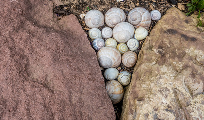 Gartendekoration mit Weinbergschneckenhäusern