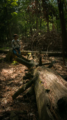 Fototapeta premium person is sitting on the dead tree.