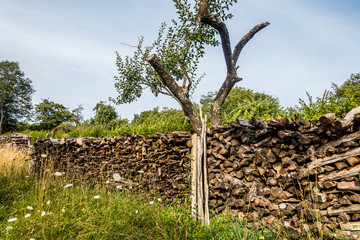 Brennholz gestapelt zum trocknen © focus finder