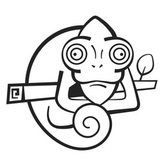 Cute Chameleon Coloring Book For Kids And Adults. Vector