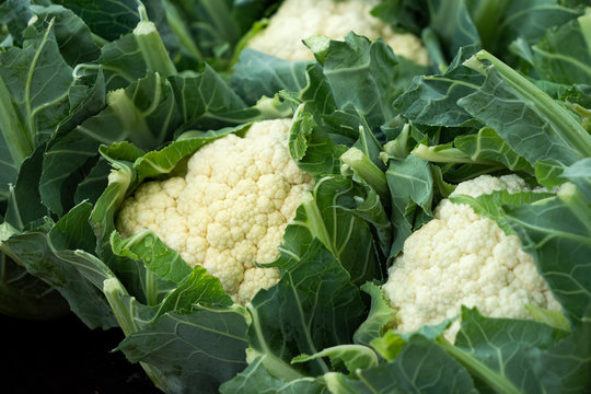 Fresh cauliflower heads with leaves at farmers market.