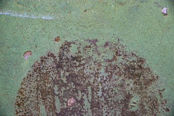 Green Negative space Rough grunge vintage background distressed weathered dirty old texture