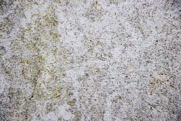 Green white Rough grunge vintage background distressed weathered dirty old texture