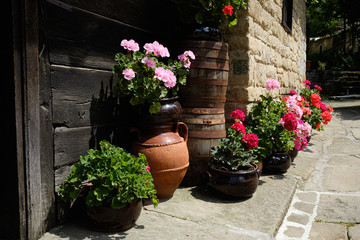 Colourful Geranium flowers in pots on terrace path