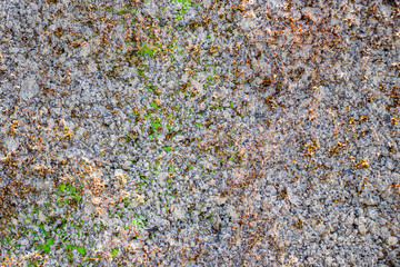 Rough grunge vintage background distressed weathered dirty old texture