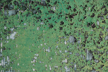 Green grunge paint weathered vintage grunge background texture