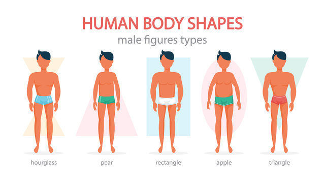 Male body shapes set. Triangle and rectangle, pear and apple
