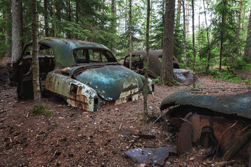 Alte Autos verrosten im Wald