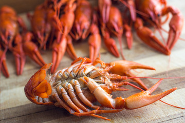 boiled crawfish on a plate