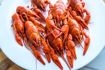 red fragrant boiled crayfish on a plate