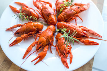 boiled crawfish on white plate