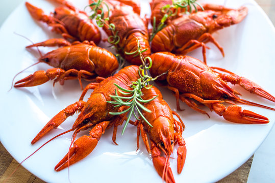 red fragrant boiled crayfish on a plate