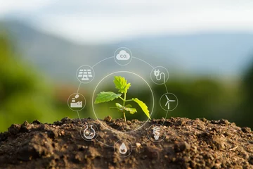 Foto op Aluminium Seedling with bubble of eco icon with green nature background. Clean environment, Solution of Air and Environment pollution concept. © piyaset