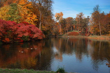 Lake reflections of fall foliage