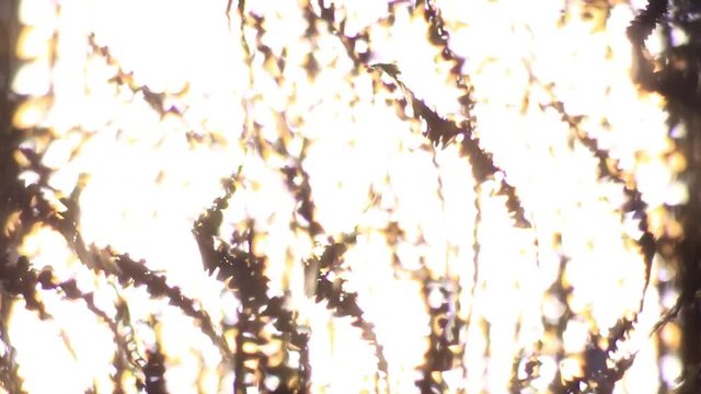 Extreme Close Up Of Metal Shavings Chips Illuminated By Lights.