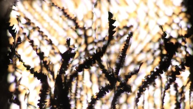 Extreme Close Up Of Metal Shavings Chips Illuminated By Lights. Anti-Clockwise Rotation.