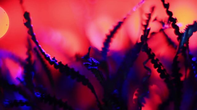 Extreme Close Up Of Blue Metal Shavings On Red Background.