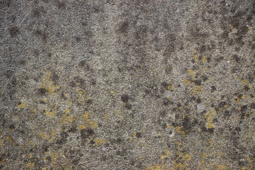 Rough grunge dirty wall texture