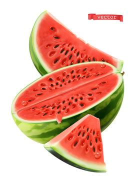 Watermelon, 3d realistic vector icon