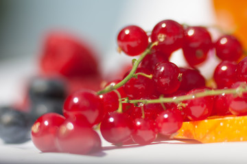 Red currants, ribes rubrum, isolated on white, selected focus in the foreground, some blurry berries in the background