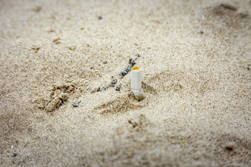 A cigarette butt stuck in sand at a beach