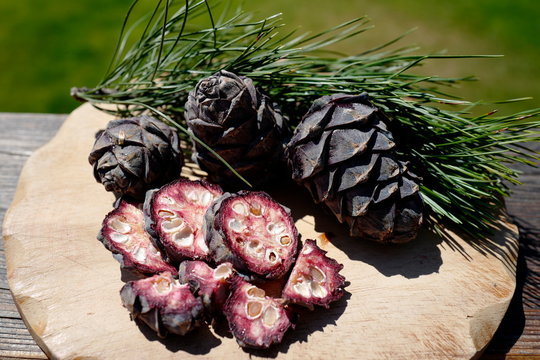 ripe sliced cones from the swiss stone pine for a delicious liquor a austrian speciality