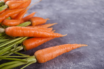 Young mini carrot in row over concreate background. Flat lay, space. Cooking concept, food background.